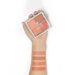 پالت رژگونه فیوچر میکاپ (FU3601)