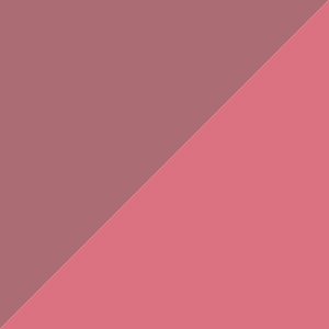 لیپ گلاس دوطرفه فیوچر میکاپ