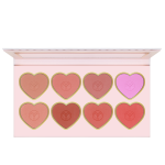 پالت رژگونه فیوچر میکاپ (FU7301)