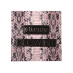 پالت هایلایتر کارکتر GK004